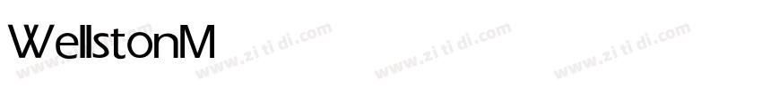 Wellston Medium字体转换 Wellston Medium字体转换